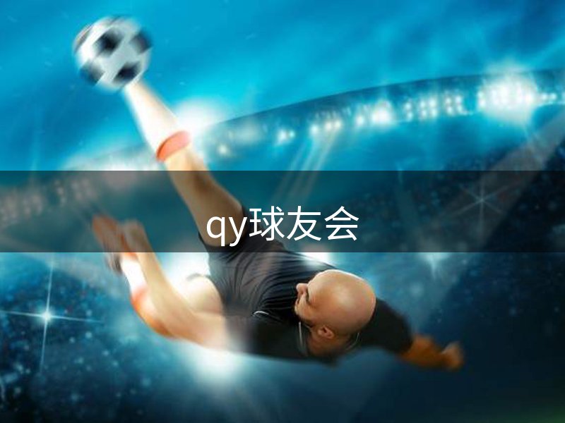 公司介绍